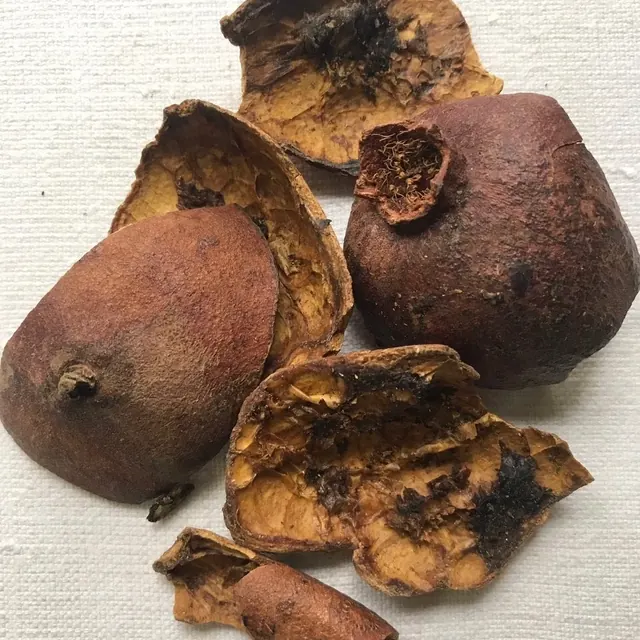 Dried pomegranate rinds
